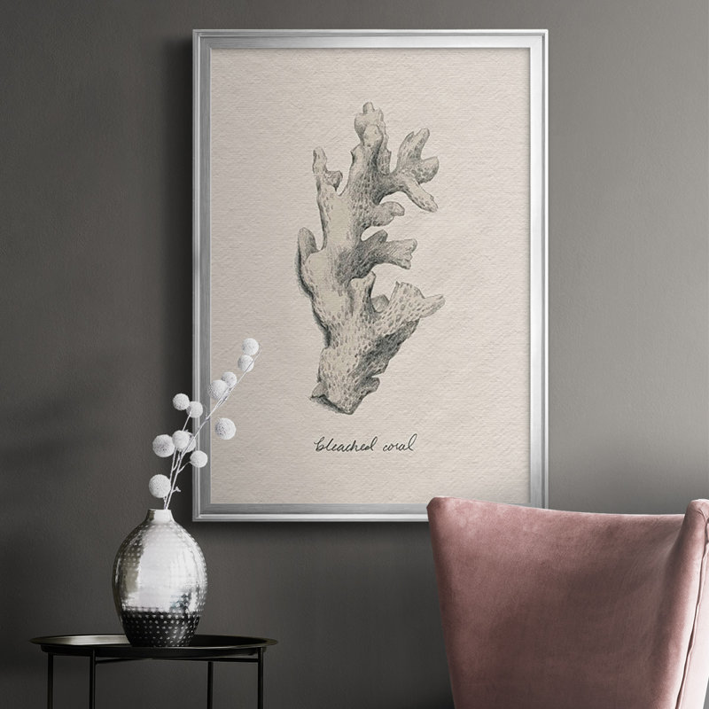 Shore Treasure Study II, reproduction encadrée de qualité supérieure - prête à être accrochée, Argent