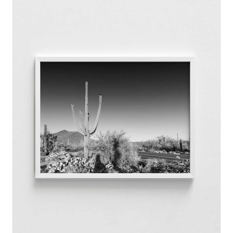 Desert Sentinel - Photographie de paysage en noir et blanc, H 8 po x l 10 po, Impression encadrée sans passe-partout, Blanc