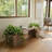 Grove Planter Bench - Ash Brown