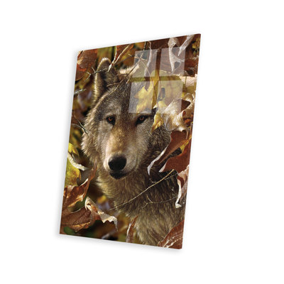 Autumn Shadows - Gray Wolf, Vertical On Plastic/Acrylic by Collin Bogle -  Millwood Pines, BE822BA156BF4A3F868B0F1720CEF21B