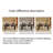 Stable and durable large dining table-110457765