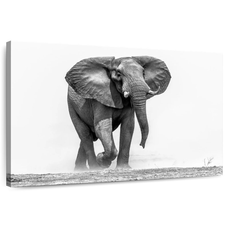 African Elephant Walking, 32" H x 48" W