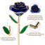 Behka Arrangement-634889688