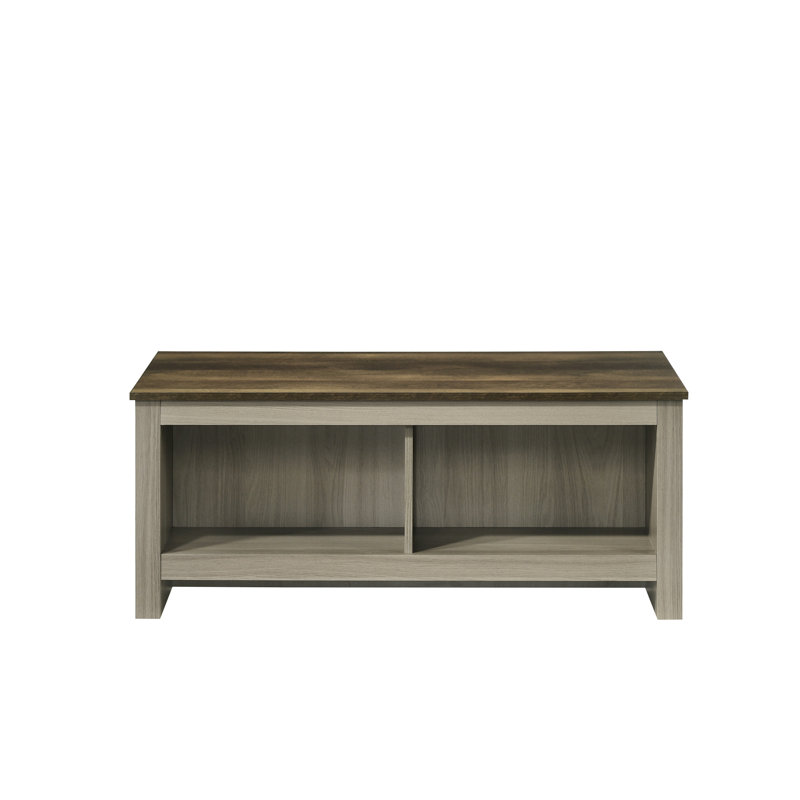 Table basse moderne en chêne gris avec tablettes ouvertes de chaque côté et lustre en noyer de 43 po offrant beaucoup d'espace de rangement