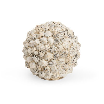 Shell Ball Sculpture