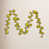 Lime est en rupture de stock