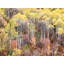 Swan Valley Autumn Portrait #1 by Bruce Heinemann-71200236-71200237-92903737