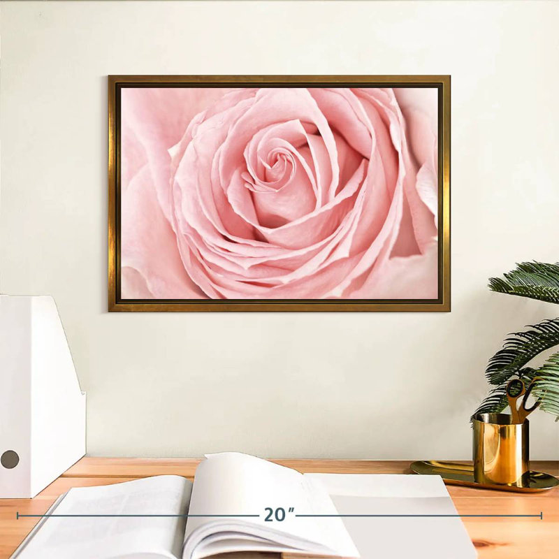 Rose rose fraîche, Cadre flottant doré, 37 po x 25 po