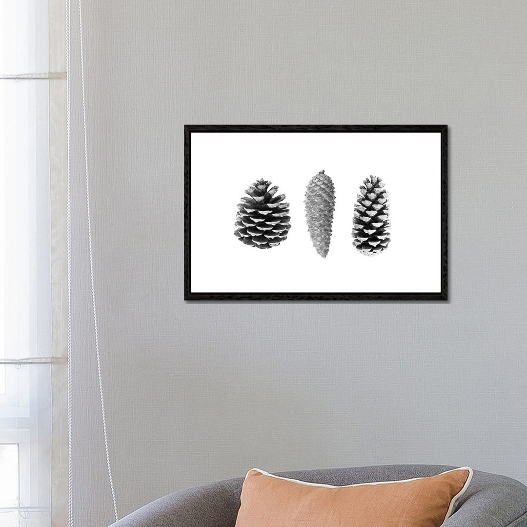 Pine Cones von Sisi & Seb - Galerie-verpackte Leinwand Giclée