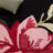 Kamath 403 Hand Tufted Wool/Cotton Floral Rug in Black/Pink-1930459748