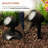 Howse Black Plug-in Integrated LED Spotlight
