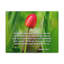 I Have Chosen Isaiah 43:10 - Wrapped Canvas Print-1991989894