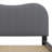 Upholstered Platform Bed With Trundle-306812415