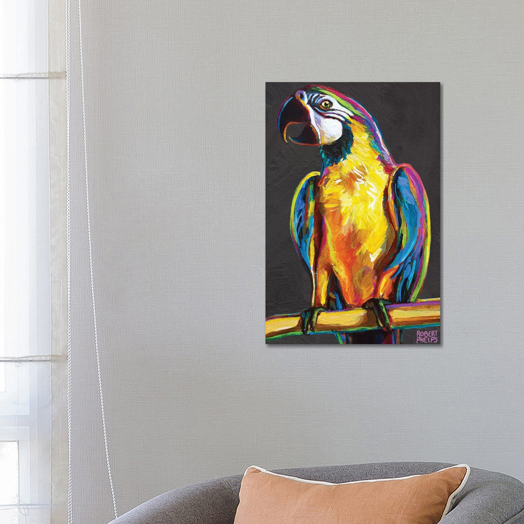 Parrot On Gray von Robert Phelps - Galerie-verpackte Leinwand Giclée