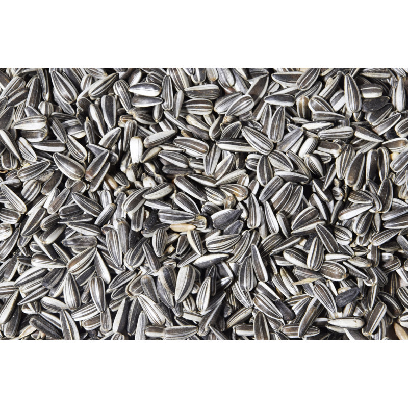 Amillianna Sunflower Seeds Bird Seed
