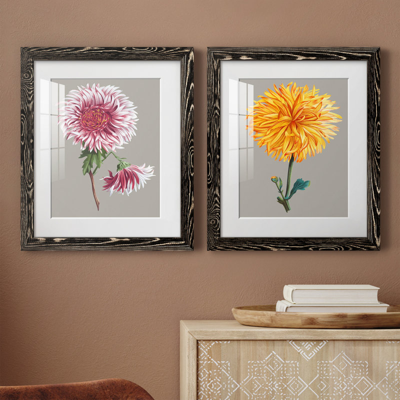 «Chrysanthemum on Grey III», ensemble de 2 reproductions d'art, Papier encadré noir, H 24 po x l 36 po x P 1,5 po, Blanc