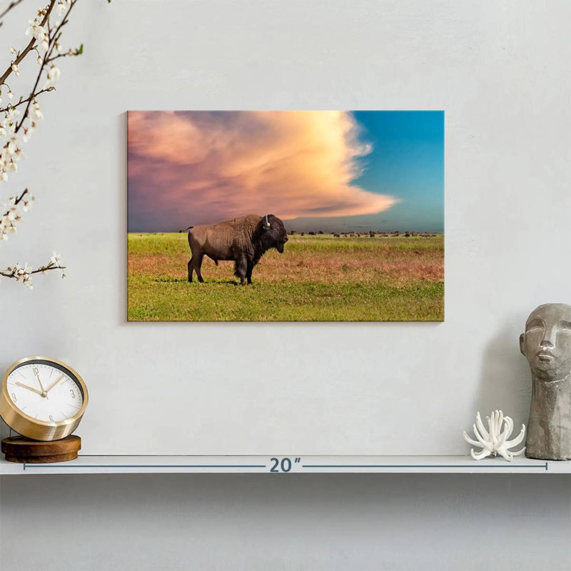 Brampt Badlands Bison, 8" H x 12" W