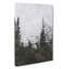 Forest And Mountain Landscape - Wrapped Canvas-61855243