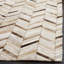 Anjely Hand Woven Beige/Brown Rug