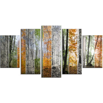 " Wood Panorama Changing Seasons " 5 - Pieces