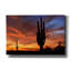 « Coucher de soleil sur Mesa Saguaro 5078 » par Mike Jones, toile murale, 152 x 102 cm-2030040664