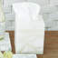 Alabaster Tissue Box