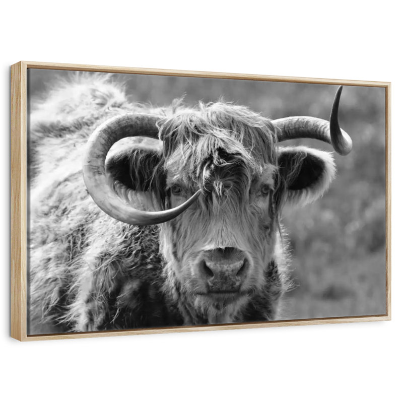 Monochrome Highland Cow, 46" X 31", Floating Frame Natural Wood