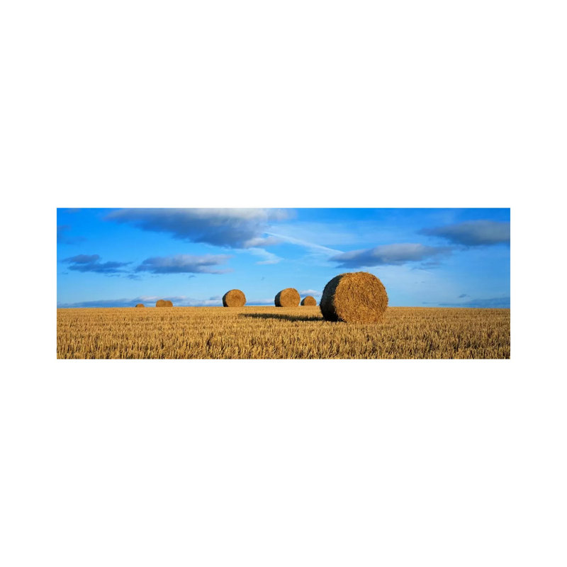 Hay Bales, Scotland, United Kingdom - Wrapped Canvas Panoramic Print, 121.92 cm H x 40.64 cm W x 1.91 cm D