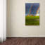 « double arc-en-ciel » par mathieu rivrin,, reproduction de photo sur toile tendue-11827532