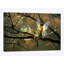 «Feathered Friends, Night», reproduction d'impression sur toile-33105197-72402093-72402094