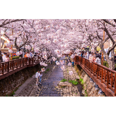 " Spring Cherry Blossom "