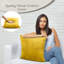 Embossed Velvet Cushion Cover (Pack of 2)-2062765902