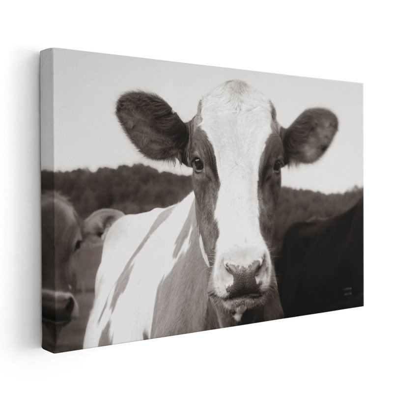 At the Barn Black and White - reproduction d'art sur toile, H 32 po x l 48 po