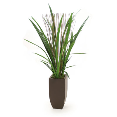 49 " H Faux Foliage Grass in Glass Planter