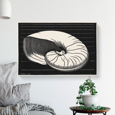 Shell by Julie De Graag - Wrapped Canvas