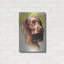 «Am Water Spaniel» par Barbara Keith-1584492122