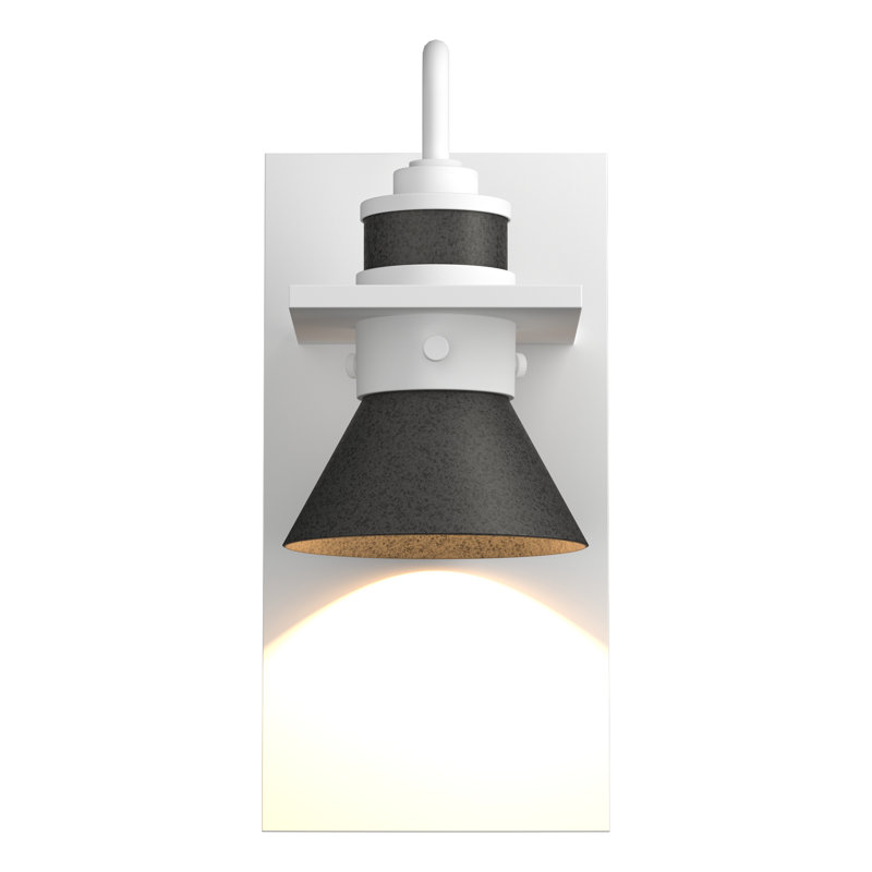Erlenmeyer 1 - Bulb Outdoor Barn Light, Coastal White, Natural Iron