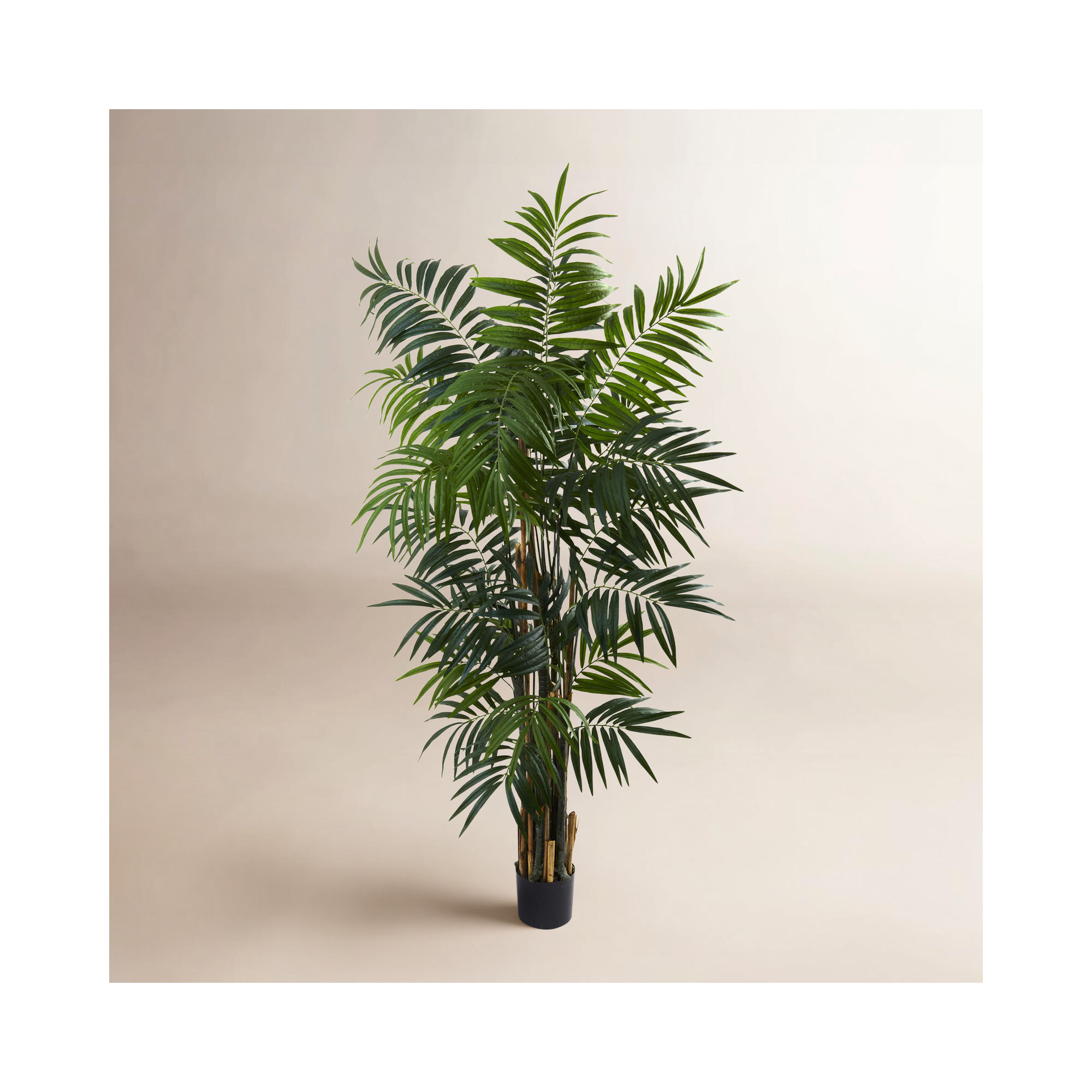Thisbe 72'' Faux Palm Tree in Pot