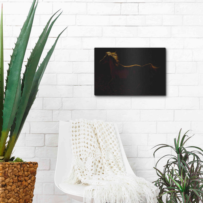 rim light' by Susan Friedman, Metal Wall Art 12