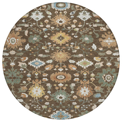 Machine Washable Indoor/Outdoor Chantille ACN2458 Traditional Rug