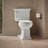 Memoirs Stately Comfort Height 1.28 gpf Two-piece Round-front Toilet-13236817-65046000