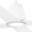 Typhoon Ceiling Fan