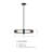 Pashence 4 - Light Matte Black Pendant