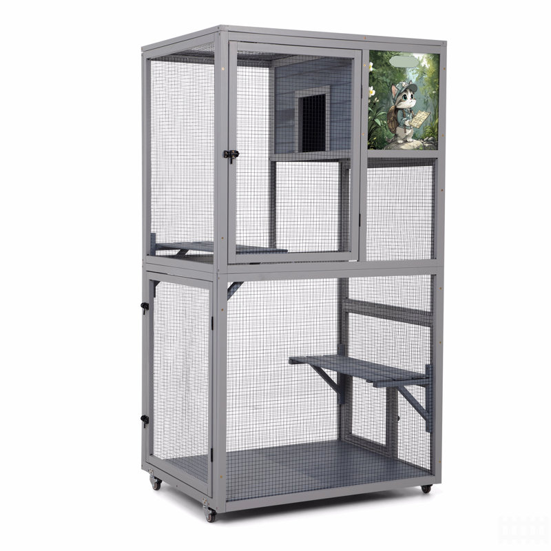 Enceinte d'extérieur pour chat Catio