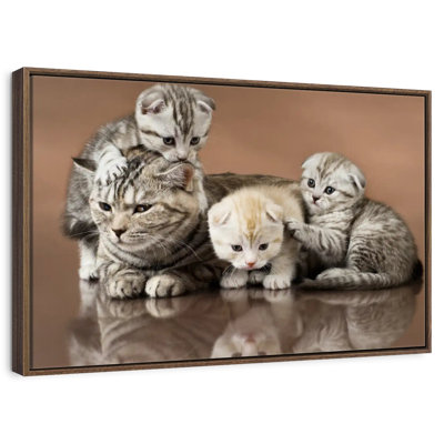 Famille de chats