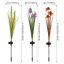 Ensemble de 3 piquets Botanical