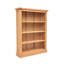 Middlebrook 120cm H Standard Bookcase-828866283-828866286