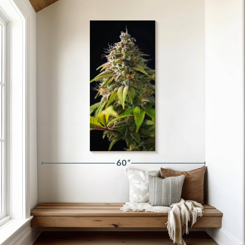 Cannabis Buds