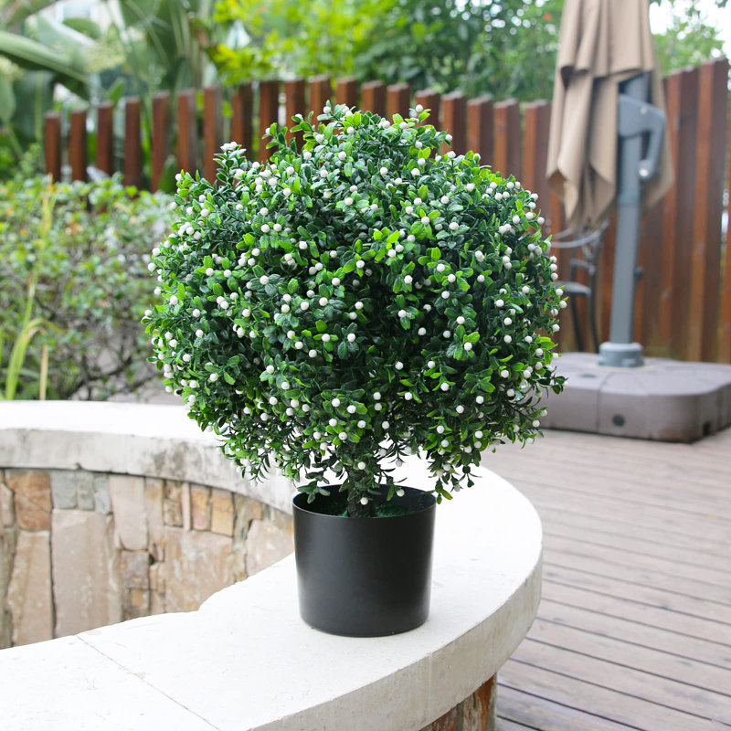 20.98'' Jasmine Plant