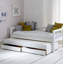 Booth Solid Wood Daybed with Trundle